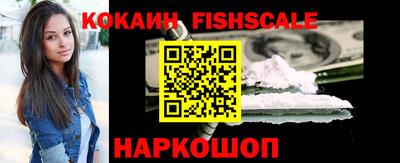 шишки Тверь