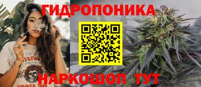 дживик Тара