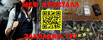 шишки Тверь